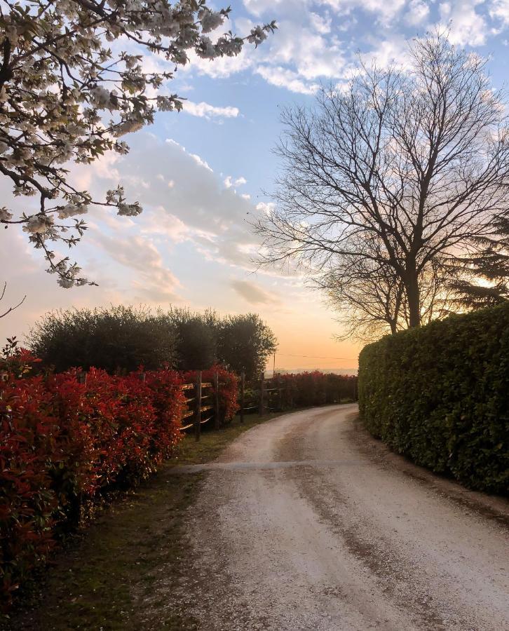 B&B Cascina Mattarelle Monzambano Exteriör bild