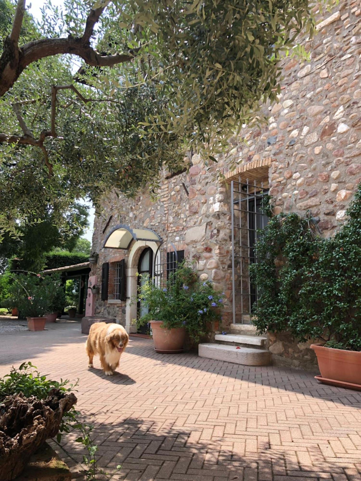 B&B Cascina Mattarelle Monzambano Exteriör bild