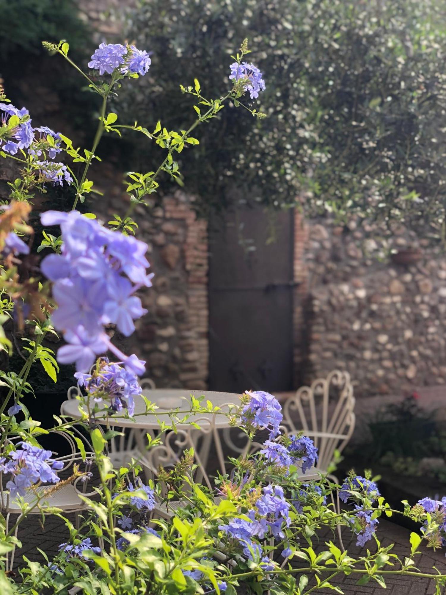 B&B Cascina Mattarelle Monzambano Exteriör bild